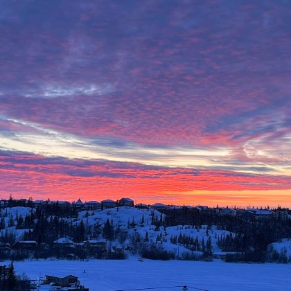 加拿大：黄刀镇包车1日游｜耶洛奈夫往返｜行程可定制※