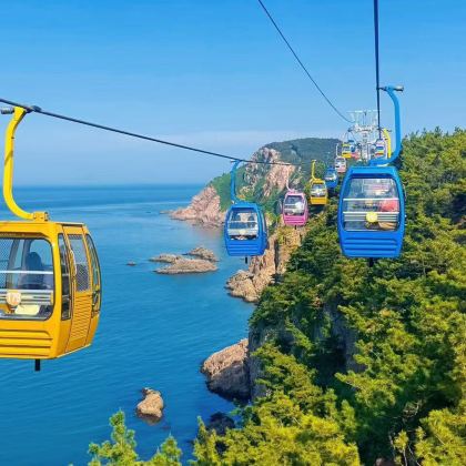  威海荣成一日游旅游一单一团【威海进青岛出】那香海/成山头