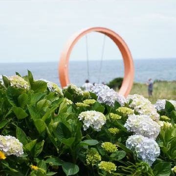 济州岛东线一日游｜晚起线｜牛岛+城山日出峰+月汀里｜限时赏花