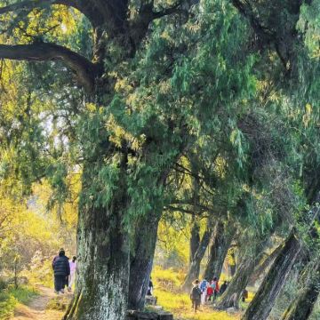 成都往返：古蜀道徒步一日游｜拦马墙徒步｜一步跨千年