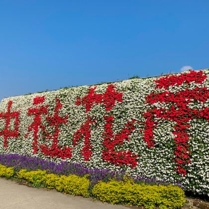 台中漫畫博物館&宮原眼科&中社花海&高美濕地 拼車一日遊 