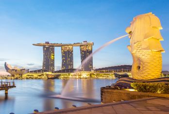 新加坡滨海花园+鱼尾狮地标+文化街区+欧风建筑一日游【包车】【一站式打卡热门景点，资深中英文司机接送，沟通无忧，服务专业安心！】