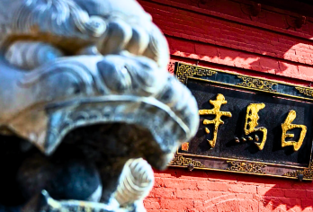 洛阳白马寺60分钟精品讲解【小团讲解-含耳麦-口碑导游团队】【[佛教祖庭探源]专业讲解揭秘白马寺的历史地位，解析东汉佛教传入轨迹与寺内珍贵文物】