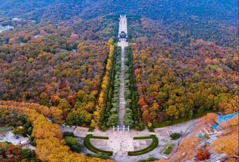 南京梧桐大道+中山陵+夫子庙：历史与自然探寻之旅【金陵深秋一日游】