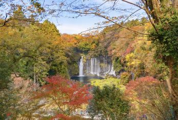 光影与湖山/四季限定：轻井泽湖光枫红艺术游【直观感受水流如同从岩石上流下的白丝，和300 年树龄的古老枫树，秋季树叶变红时，景色美不胜收】