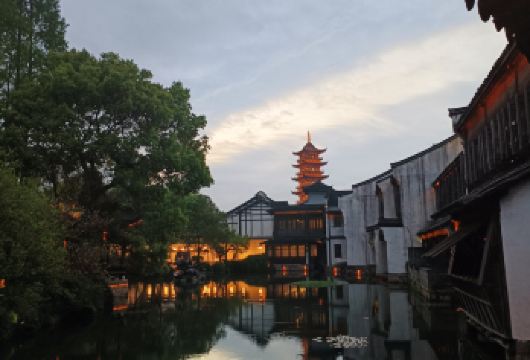 乌镇东栅+西栅一日游【各地出发 日游东栅夜游西栅赏日夜全景】【纯玩不进店 天天发班，旅行社直发 不转团不卖团 专线专职导游；】