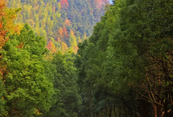溧阳天目湖御水温泉+车接车送【50人团建】【私家小团无人打扰】