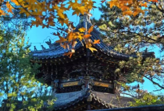 晋祠+山西博物馆+柳巷【晋商文化发源地、特色美食体验、了解晋体系商的商业传奇与明清金融】