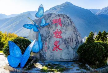 大理蝴蝶泉菌香森林采鲜菌+本地向导+菌子科普【赠】蝴蝶泉门票【[地域稀缺]蝴蝶泉畔生态菌，吃得到的苍山鲜味，每朵菌子都带着山林清冽感，是城市难寻的“自然馈赠”】