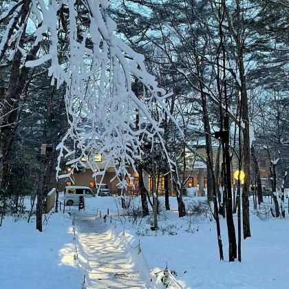 定制东京—轻井泽云场池+千住博美术馆【中文司机+酒店接送】