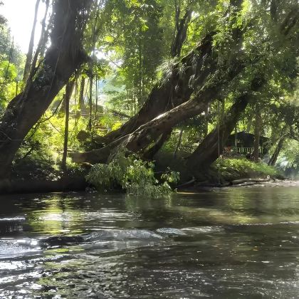 文莱乌鲁淡布国家公园一日游（预约门票+包车接送）