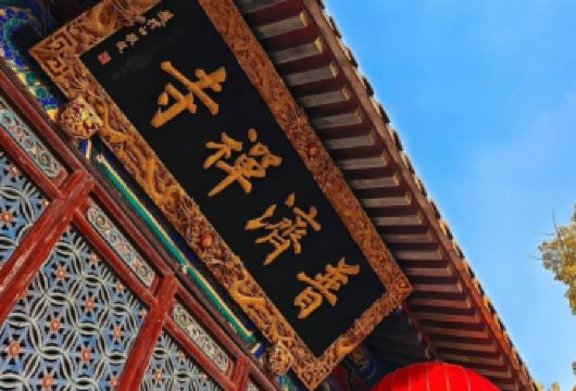 舟山普陀山风景区一日游 南海观音+普济寺 【全包一日游】【[便捷交通]海陆斜接，一站式服务，让您迅速体验普陀山庄严与美丽】