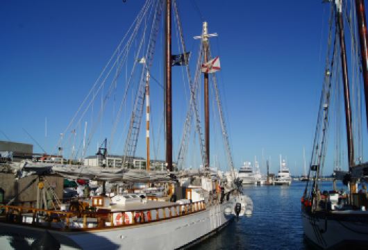 美国迈阿密-基韦斯特-慢游不赶路-12H【中文包车自由行】【中文专车出行，行程自己定义，无需等待，专属贴心服务，尽享惬意旅程】