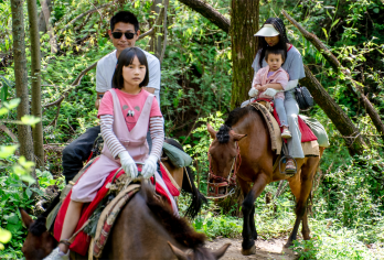 丽江拉市海茶马古道一日游|骑马划船|纯玩小团|网红庄园|【[优质交通]环丽江古城、束河古镇，专职司机免费上门接送；每天9:00-14:00滚动发车，随订随走。】