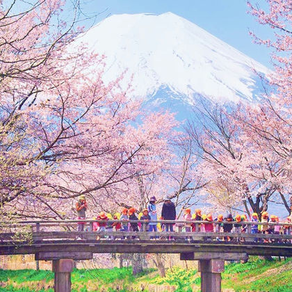 日本东京富士山+箱根神社一日游