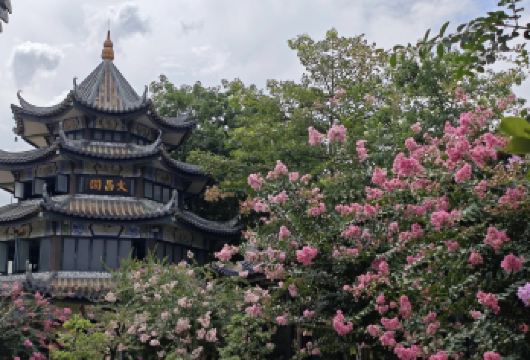 私家小团上门接送|番禺沙湾古镇+余荫山房+岭南印象园一日游【私家旅行：一单一团，不拼客，专属旅行； 品质服务：车上门接送，专职司机护航】