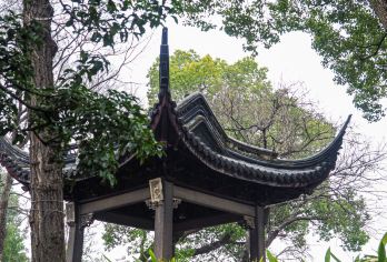 虎丘山风景名胜区+枫桥景区+网师园+沧浪亭+盘门【10小时vip服务】