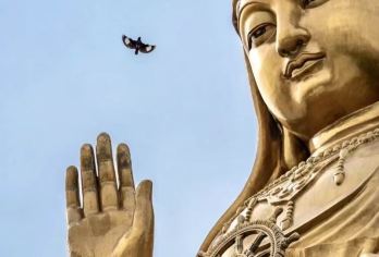 普陀山风景区一日游【祈福许愿还愿静心之旅】【[精心安排]天天发团。祈福、许愿、还愿必到精华景点。精选祈福专线导游带领讲解陪同！】