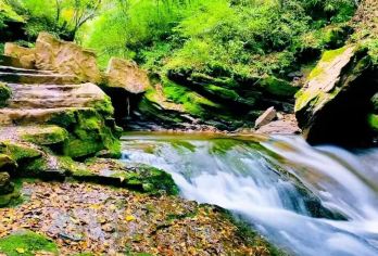 固原六盘山红军长征纪念馆＋六盘山国家森林公园一日活动【天然氧吧 西北避暑天花板！】