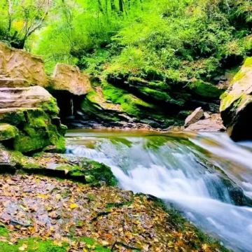 六盘山长征纪念馆＋六盘山森林公园包车一日活动