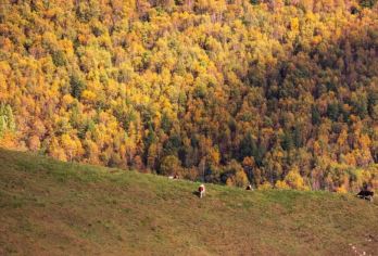 麻田岭徒步1日【河北小天山+京西香格里拉+10公里小环穿】【云中草原小天山】