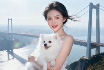 花江峡谷大桥+安顺古城一日游【包车•上门接•新晋打卡地】【独立用车•无购物•时间自由安排】