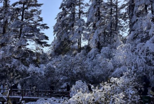 瓦屋山一日游【深度纯玩  观云海佛光】【蜀中仙山世界桌山，观云海、觅佛光，赏雪】