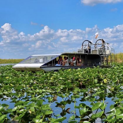 美国迈阿密：大沼泽地国家公园+小哈瓦那+博物馆中文包车可定制