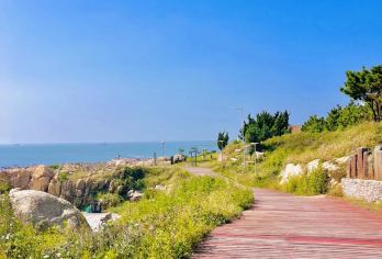 超精品黄岛一日游【小众打卡景点/2-6人纯玩团/强烈推荐】【[黄岛深度1日游]玩转东西海岸，避开人群，带您打卡经典景点，给您舒适的体验】