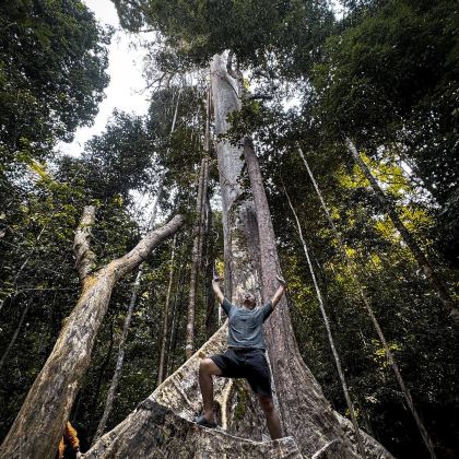 大汉山国家公园一日游（吉隆坡出发）