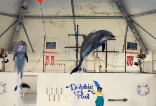 日本登别小樽洞爷湖地狱谷-可札幌富良野美瑛北海道包车精选【包车一日游，解锁旅行新方式！独立车辆配备经验丰富的老司机，为您量身打造专属行程。】