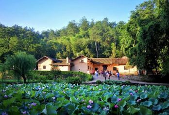 韶山一日活动【可选16人精致小团上门接/私家团+套餐自选】【[套餐自选]大团定点接，可选16人精致小团长沙市二环内上门接送】