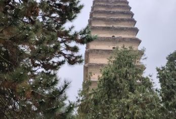 西安博物院+小雁塔+秦始皇帝陵博物院（兵马俑）+丽山园一日游【可定制/精品小团/专业带队/直达景区/全程无购物】