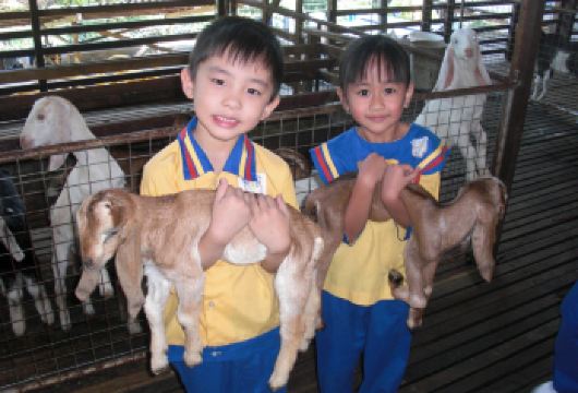 柔佛居銮UK Farm+壁画+咖啡厂日游【包门票】新山出发【一站式安排更省心:含景点接送、包含门票、餐厅推荐，司机协助，轻松体验在地玩法。】