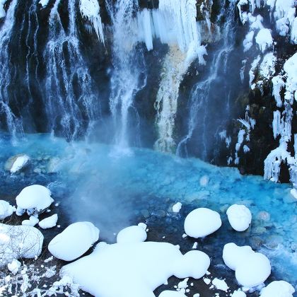 北海道旭山动物园&精灵露台&白须瀑布&青池一日游