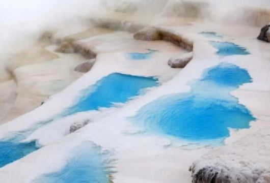 新西兰奥克兰-怀托摩萤火虫-霍比特村-中文包车私享行【精选热门景点，高效游玩不走回头路，深度了解文化内涵，贴心服务保障，轻松享受旅程，性价比超高的旅行。】