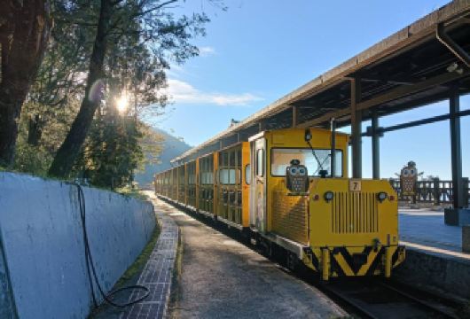 太平山游乐区+见晴怀古步道+鸠之泽温泉【太平山一日游】【春天赏白樱花，夏季避暑，每年四~九月赏枫红，秋天黄金山毛榉季，一年四季都值得探访！】