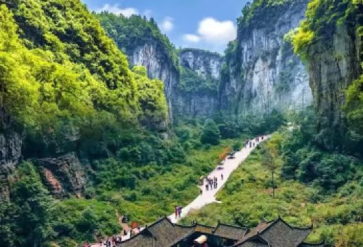 商务7座包车一日·市区、天生三桥、大裂谷、大足石刻、金佛山【[舒适出行]正规营运车，手续齐全，优选7座商务车辆，经验丰富老司机为您的出行安全保驾护航！】