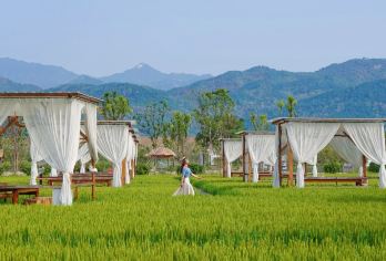 黄梅袁夫稻田/问梅村+黄梅宴一日游【沉浸式黄梅戏非遗剧场——宝醉坊•黄梅宴】