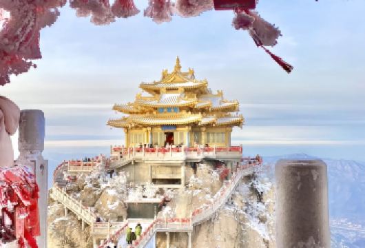 河南洛阳老君山景区一日游【高速直达索道口丨送登山杖丨看亮灯】【[四个班次可选]可直接根据套餐名下单，如需变更出游时间可联系客服更改！】