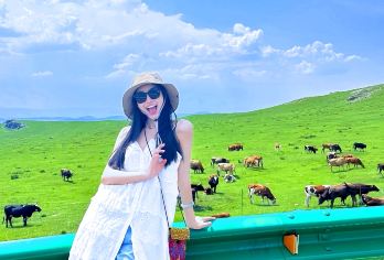 红石崖国家生态公园+敕勒川草原一日游/拼小团看日落【专享司兼导，2-8人跟团游、包车、巴士团、多套餐任选 ！】