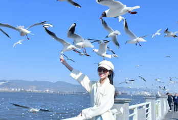 云南民族村一日游【纯玩不进店▼滇池▼西山龙门▼云南民族村】【真正纯玩，无购物，给游客充足时间饱览美景，身临其境感受高原明珠的独特魅力！】