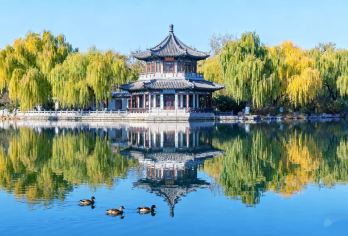 【济南一日游】趵突泉+大明湖+山东博物馆【游船体验+冰箱贴】【[不早起旅行团]：主打不早起旅行团，爱熬夜起不来？假期补补觉，放心，全搞定！欢迎来参加宝藏说精讲~】