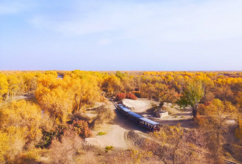 【 新疆南疆环线·亲子/朋友/情侣出游 】专属你的新疆一日游【缤纷景点：喀什古城City Walk ，体验南疆人文特色：温宿大峡谷，千佛洞，喀什古城，香妃园】