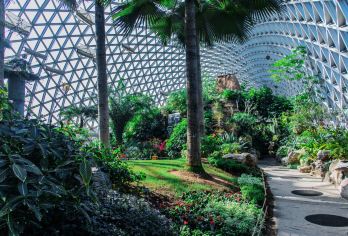 领略魔都魅力 上海之根广富林遗址+辰山植物园+蟠龙古镇一日游【专车接送/行程可定制】