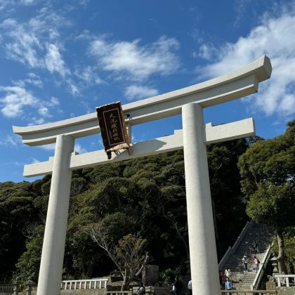 2025日本三大灯光-秀光之花庭园&茨城火红波波草一日游