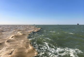 黄河口国家公园纯玩一日【纯玩无购物丨市内专车接送丨导游精讲】【[纯玩服务引领者]品质真纯玩无购物店丨东营市内专车接早丨出行便捷无忧丨】