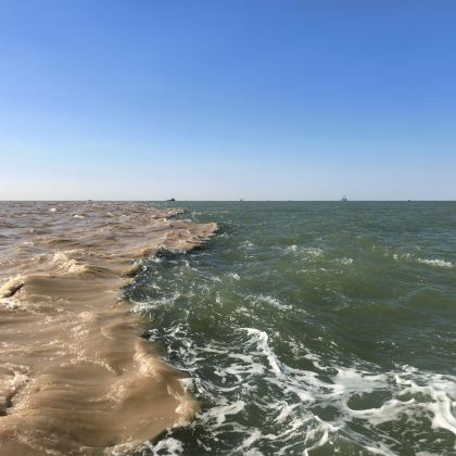 黄河口国家公园纯玩一日【纯玩无购物丨市内专车接送丨导游精讲】