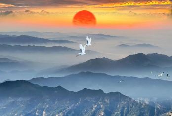 泰山一日游【含门票│含景交│索道可选】尊享小团【[精致纯玩]导游陪同上山，大IP一个不少！不进购物店，把时间留在景区！】