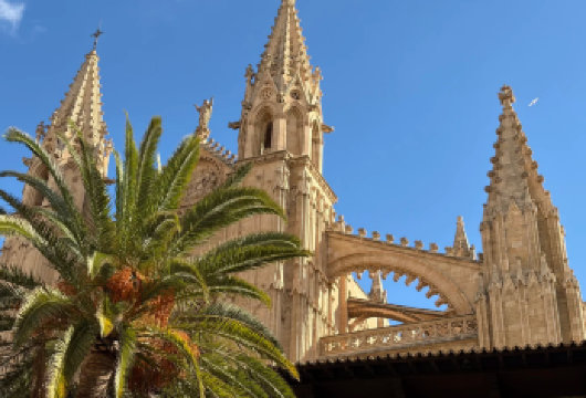 西班牙略卡岛|帕尔马大教堂+德拉赫洞穴+帕尔马海滩包车一日游【专车直达各景点，避免公共交通周转，节省时间，适合家庭、情侣及小团体出游。】